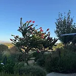 Вилла Cycladic Villa, Blue Stories *